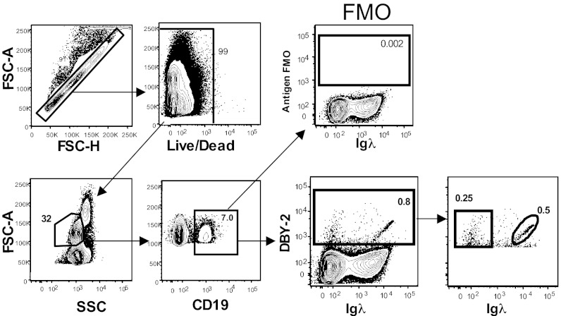 Fig. 1.