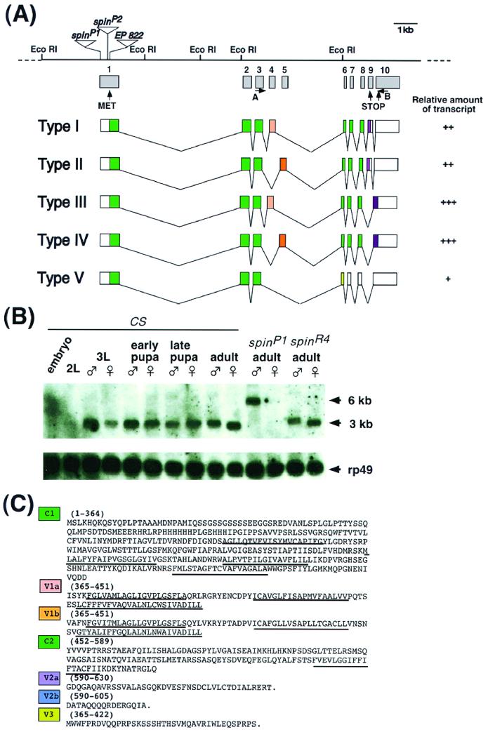 FIG. 6