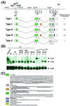 FIG. 6