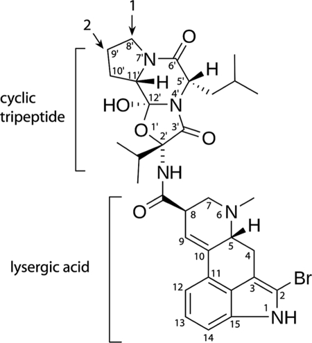 FIGURE 1.