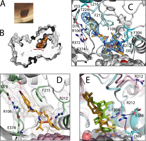 FIGURE 3.