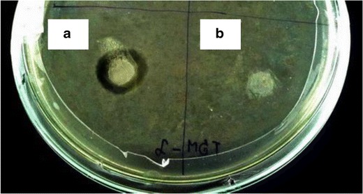 Fig. 10