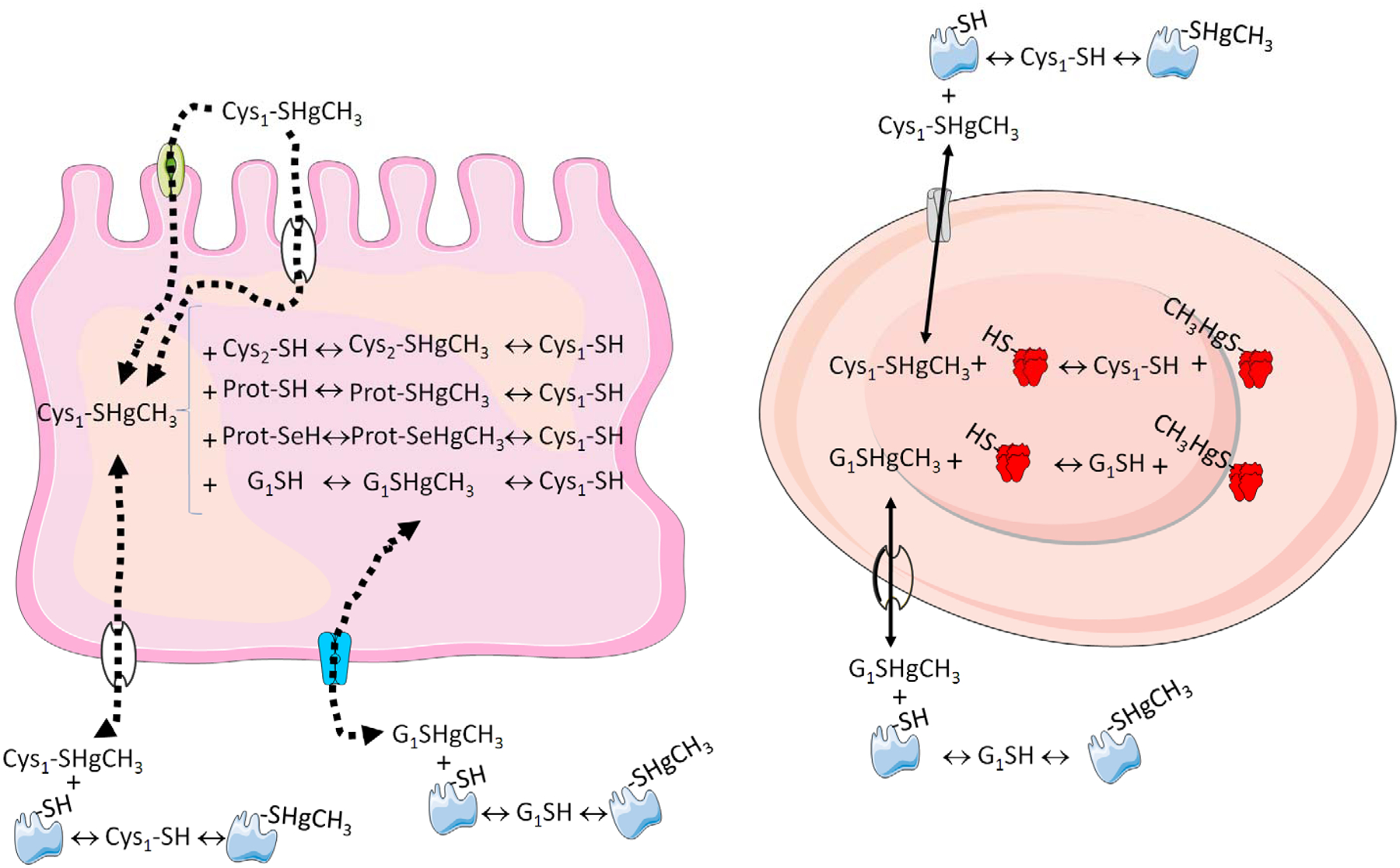 Figure 2: