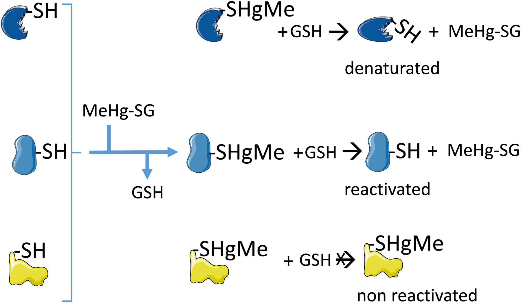 Figure 3: