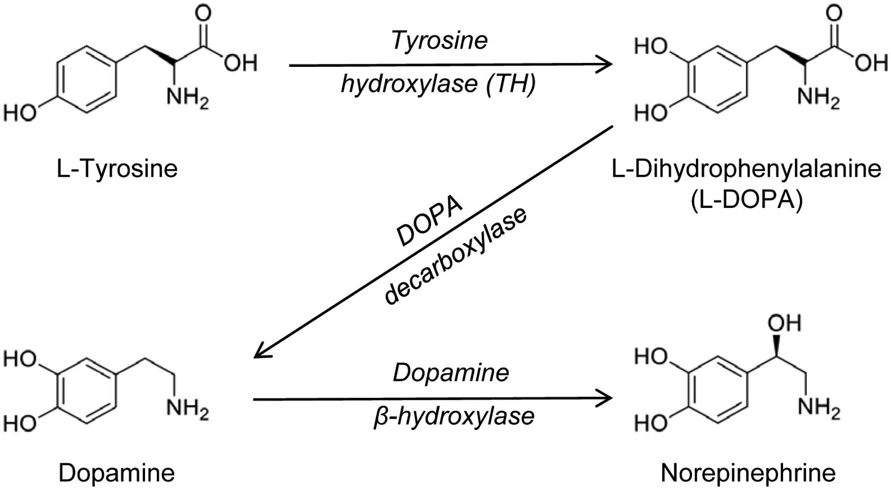 Figure 1: