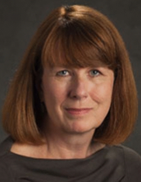 graphic file with name 42532_2022_111_Fige_HTML.jpg