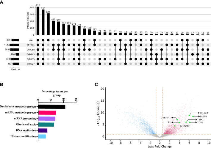Figure 4