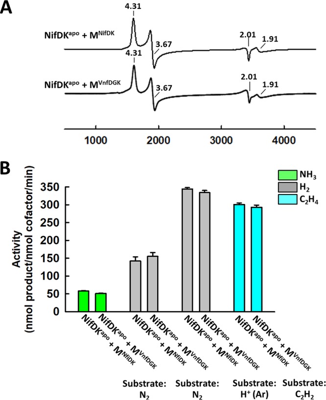 FIG 2 