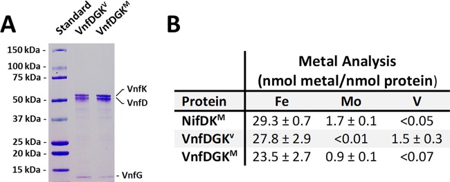 FIG 1 