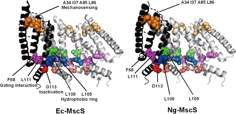 FIG 1
