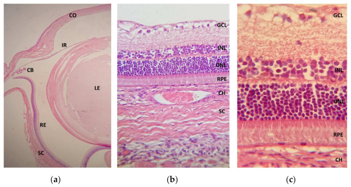 Figure 10