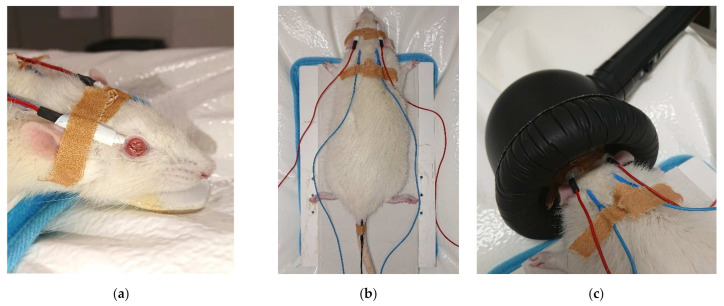 Figure 12