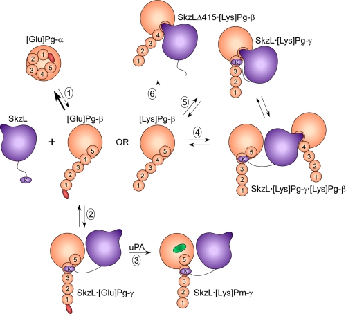 FIGURE 10.