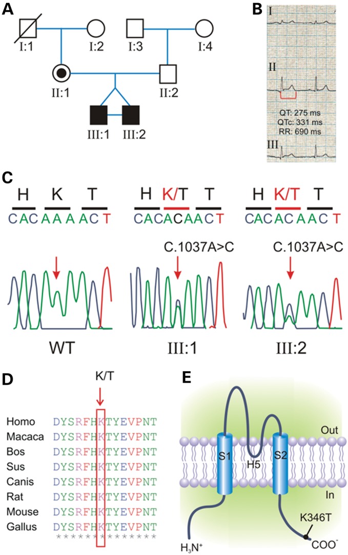 Figure 1.