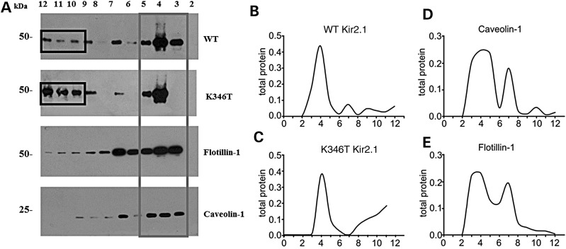 Figure 5.