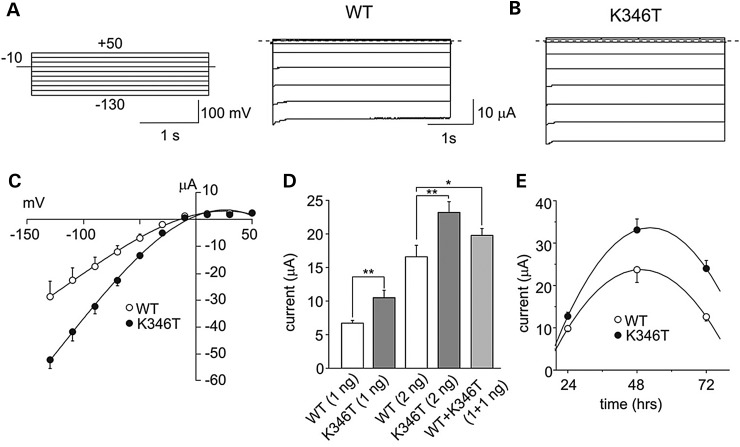 Figure 2.