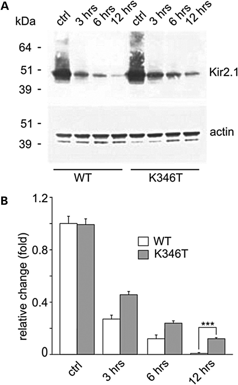 Figure 4.