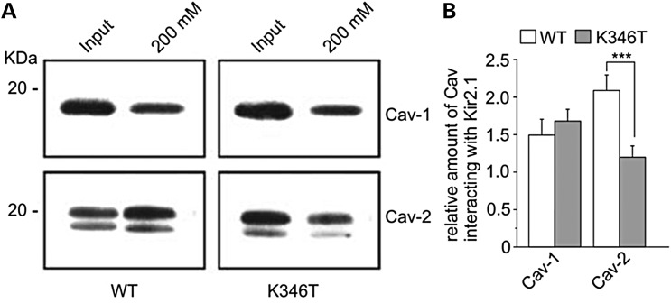 Figure 6.