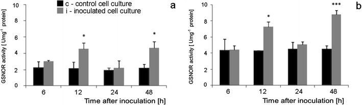 Fig. 14