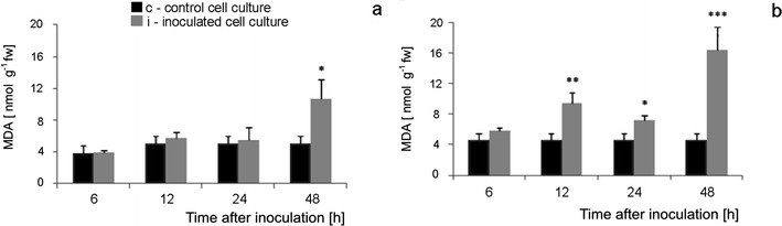 Fig. 13