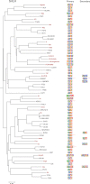 Figure 1—figure supplement 2.