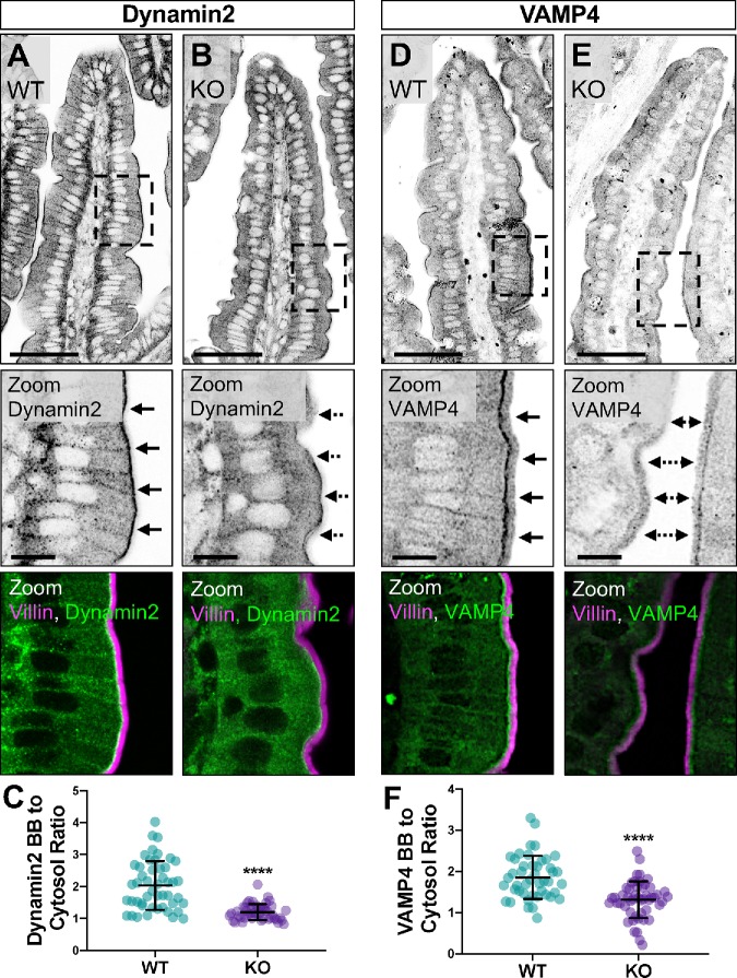 FIGURE 3: