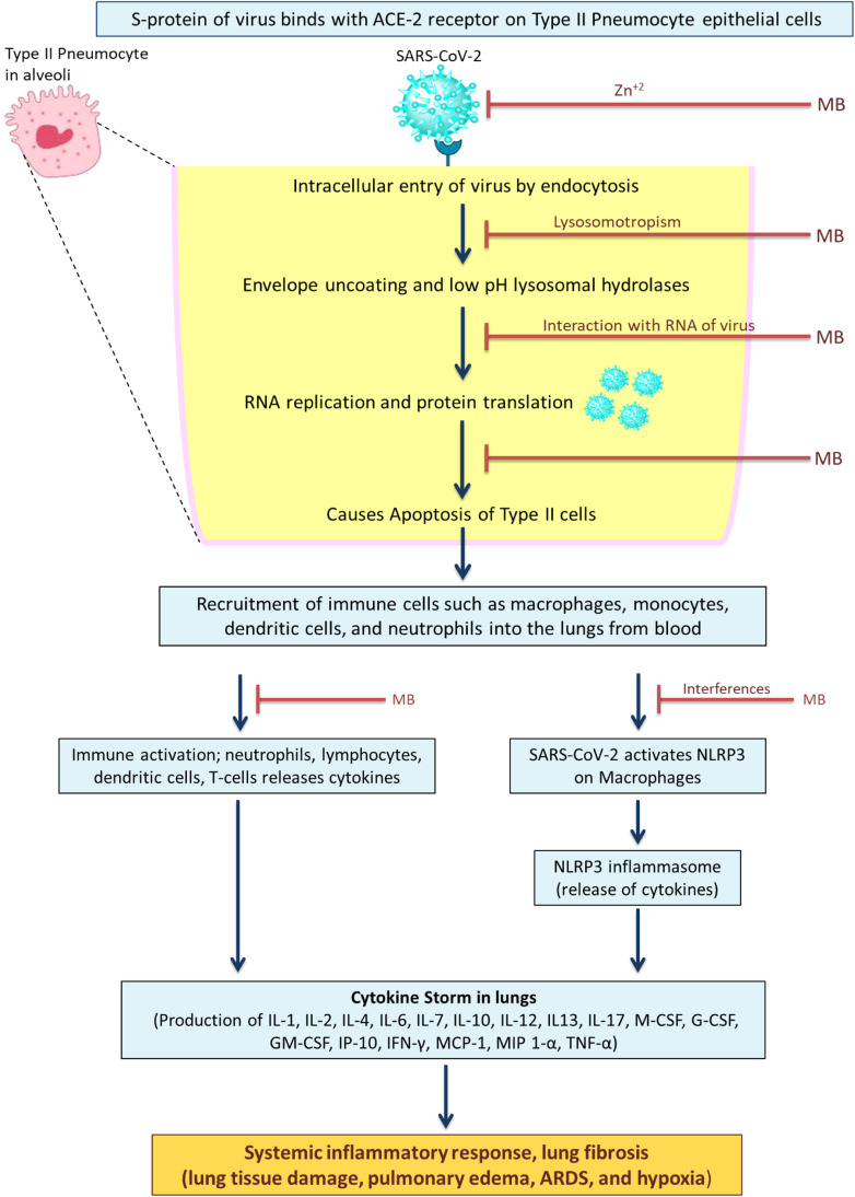 Fig. 2