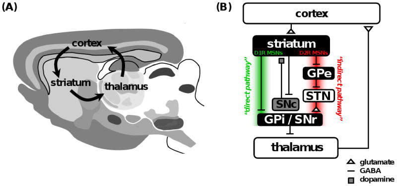 Fig. (1)