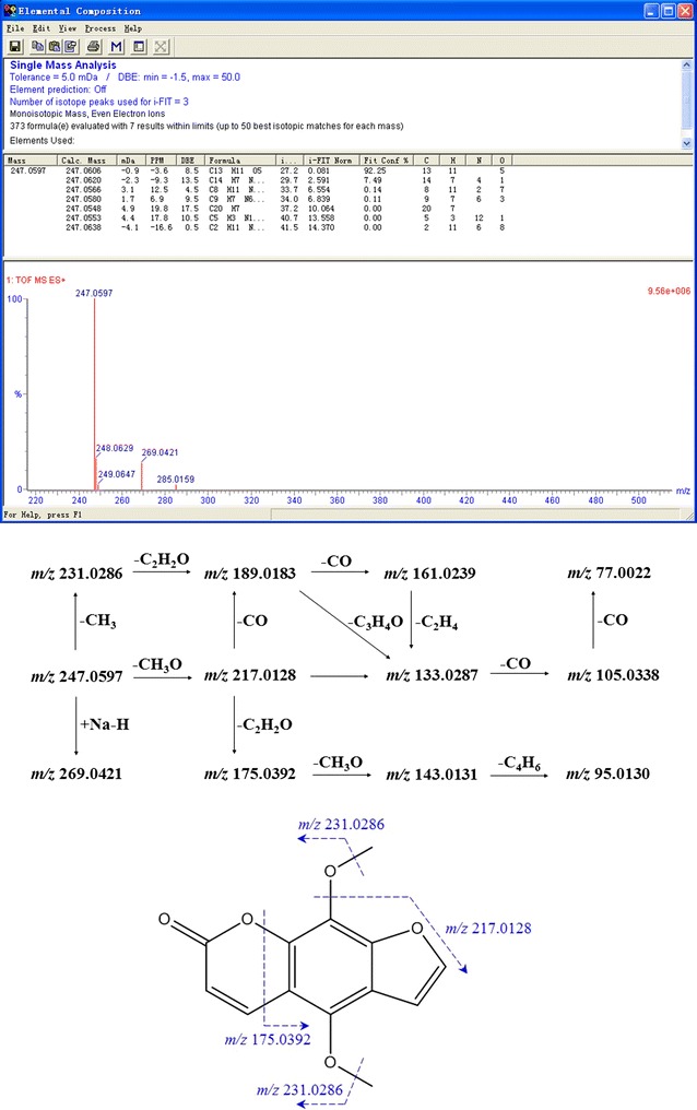 Fig. 4