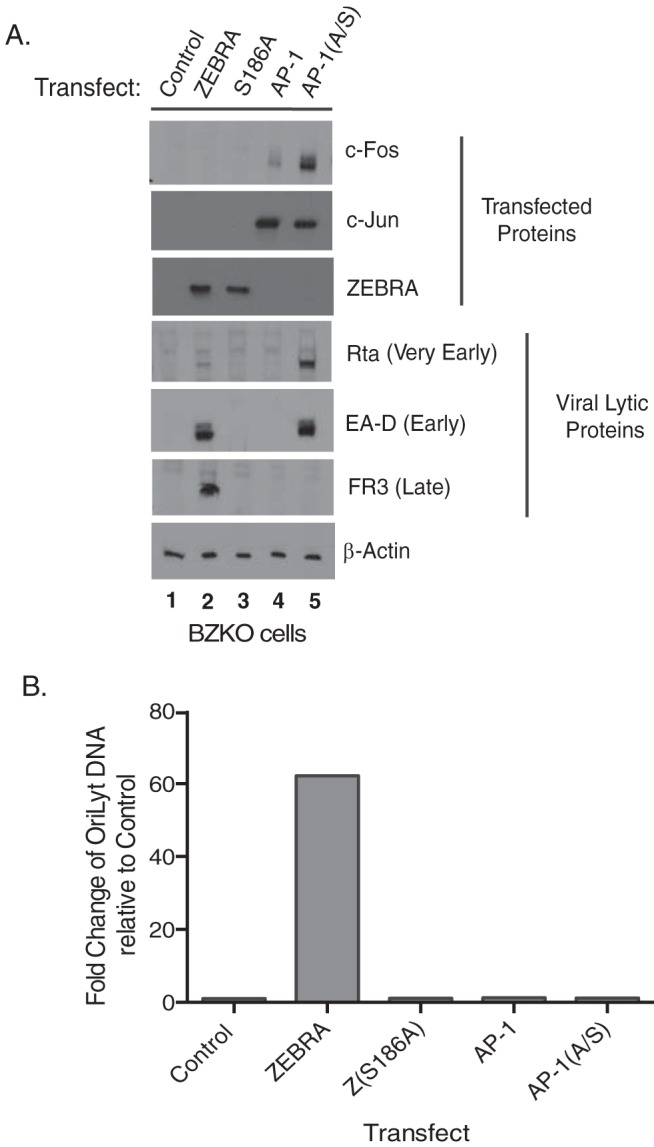 FIG 1