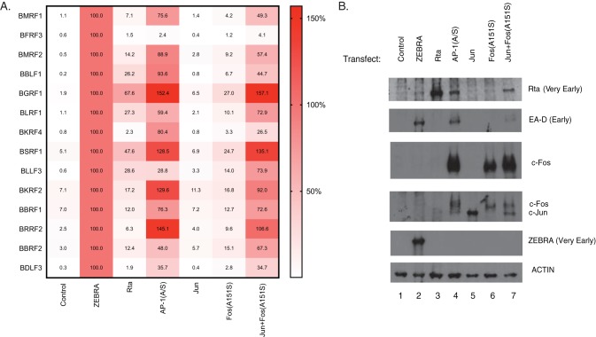 FIG 6