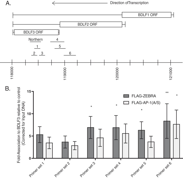 FIG 10