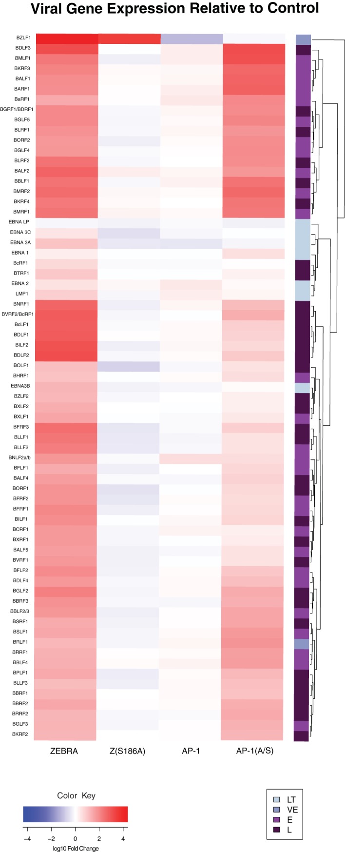 FIG 3