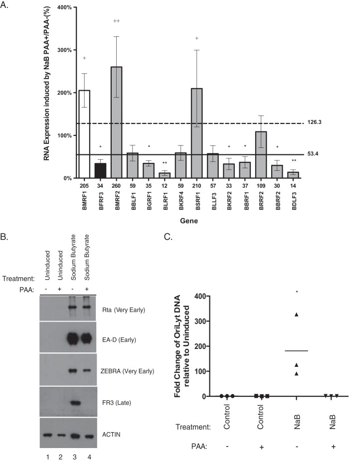 FIG 11