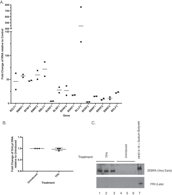 FIG 12