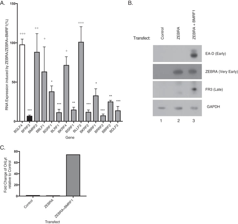 FIG 13