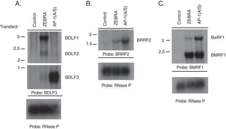 FIG 9