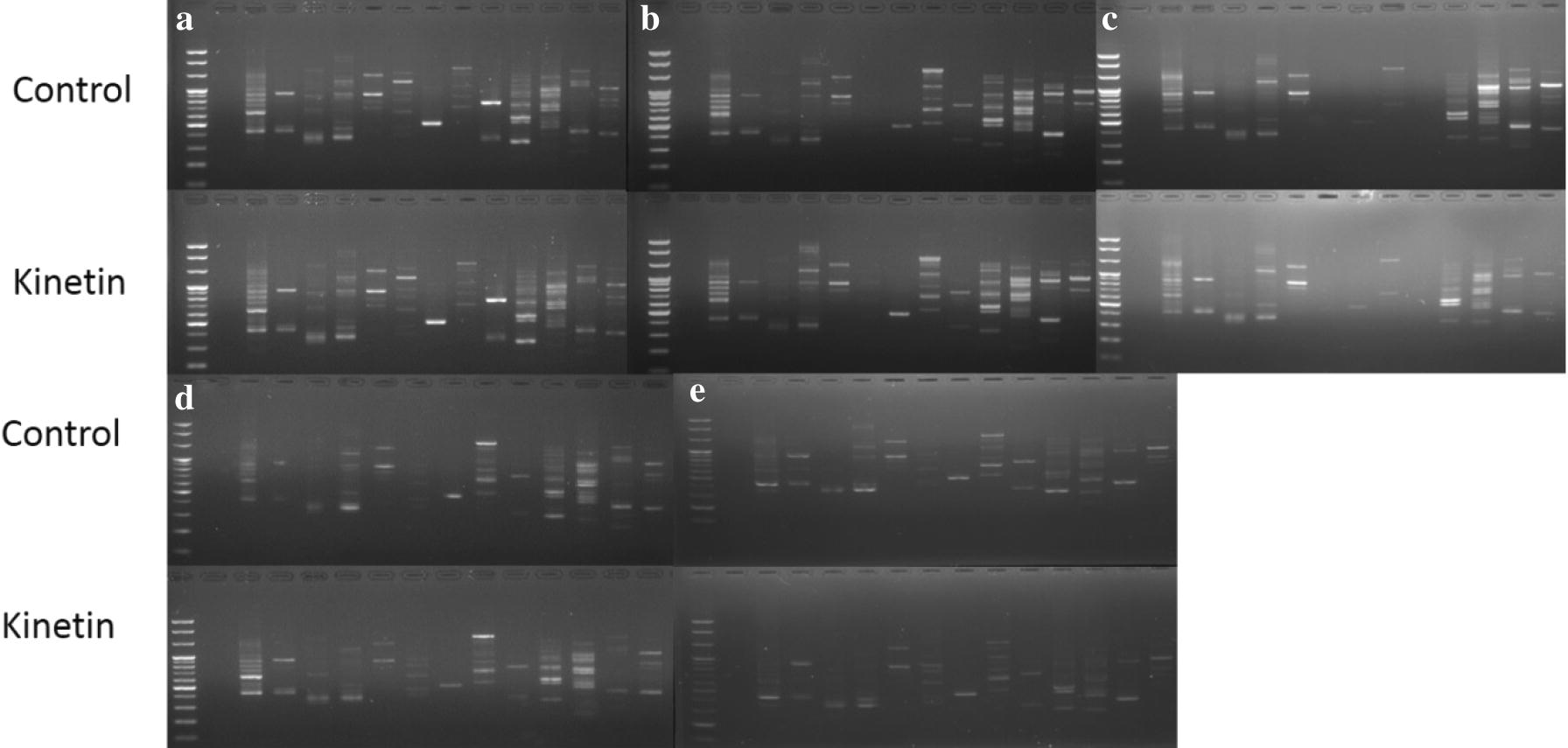 Fig. 7