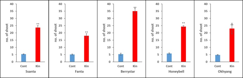 Fig. 4