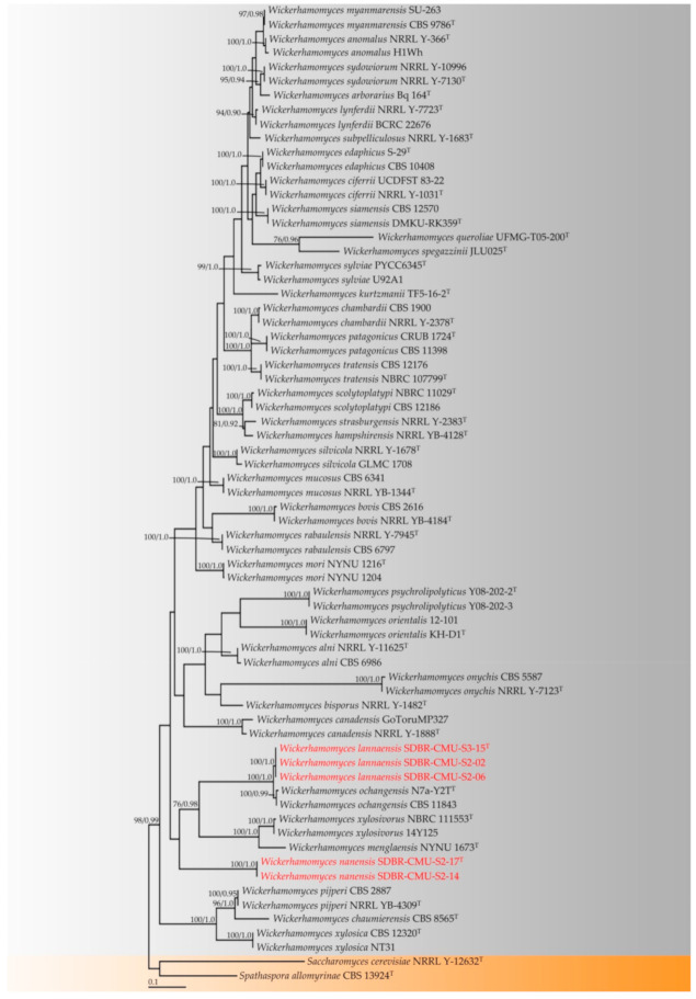 Figure 3