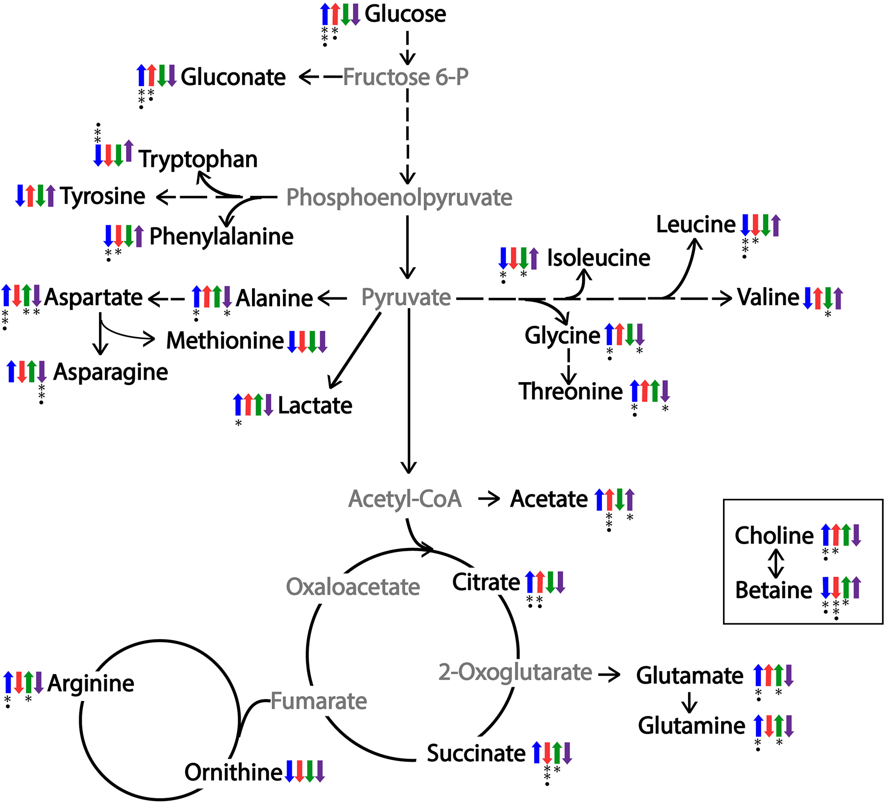 Fig. 5.