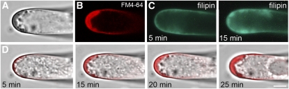 Figure 5.