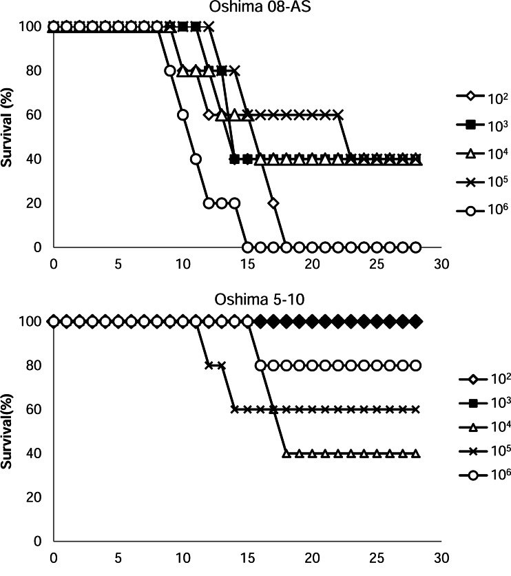 FIG. 5.