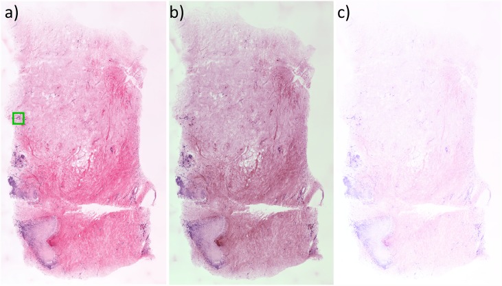 Fig 5