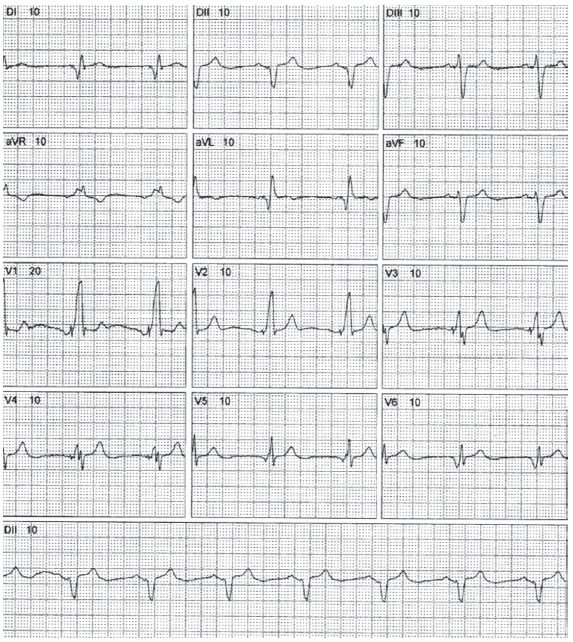 Fig. (8)