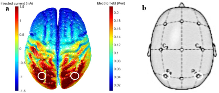 Fig. 2