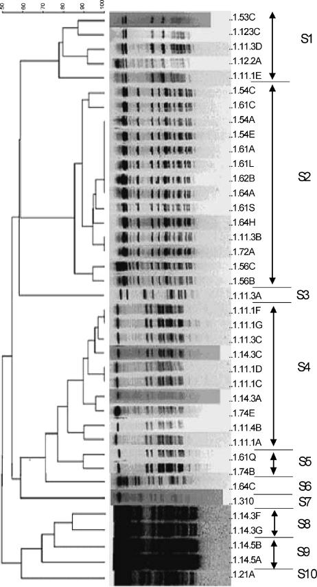 FIG. 4.