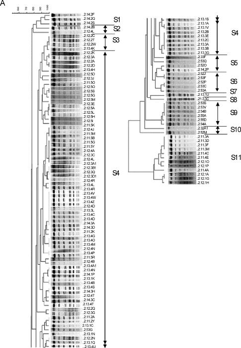 FIG. 2.