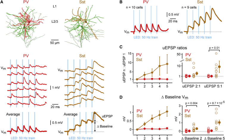 Figure 4