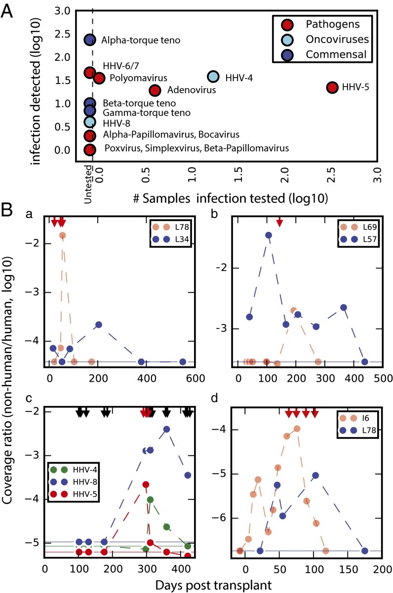 Fig. 6.